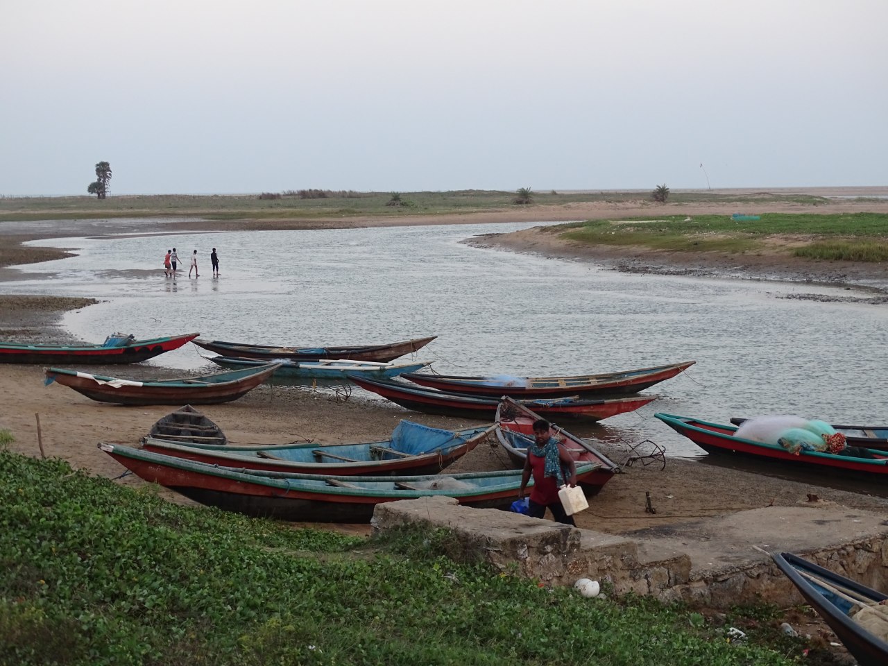 Conserving coastal commons of Odisha an action research project